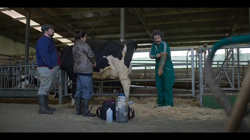 Screenshot 2025 10 15 162617.png