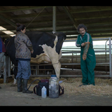 Screenshot 2025 10 15 162617