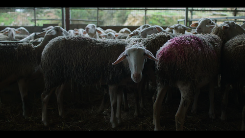 Screenshot 2025 10 15 162606.png