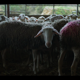 Screenshot 2025 10 15 162606