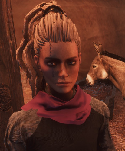 Jinxie Donkey.jpg