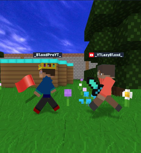 Capture the Flag.png