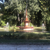 IMG 4856