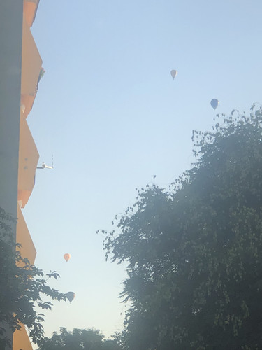 IMG 4736.jpg