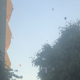 IMG 4736