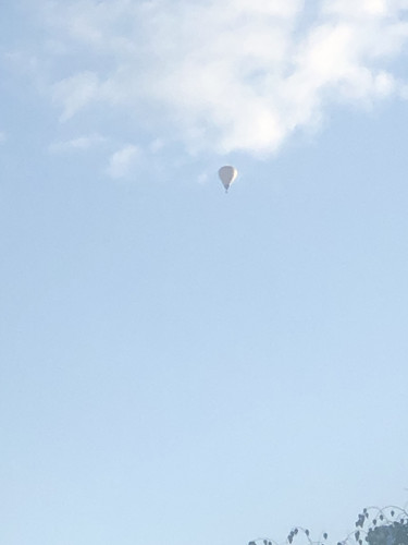 IMG 4730.jpg