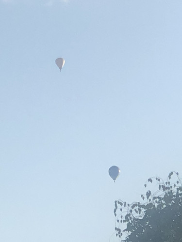 IMG 4734.jpg