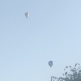 IMG 4734