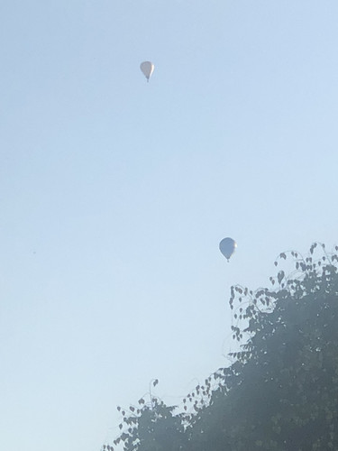 IMG 4733.jpg