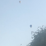 IMG 4733