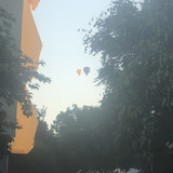 IMG 4731