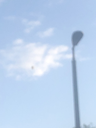 IMG 4729.jpg