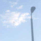 IMG 4729