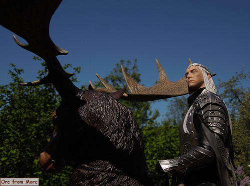 009 Thrandui on Elk.jpg
