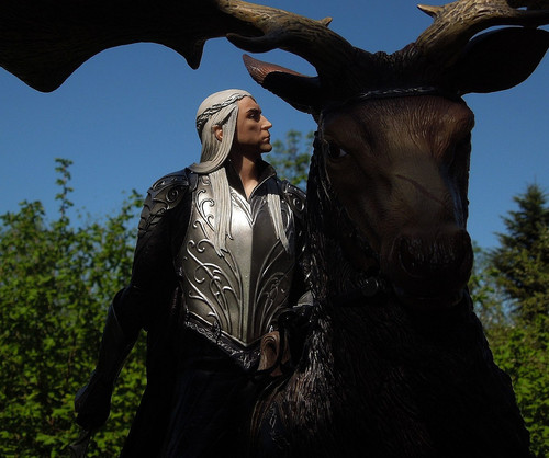 011 Thrandui on Elk.jpg