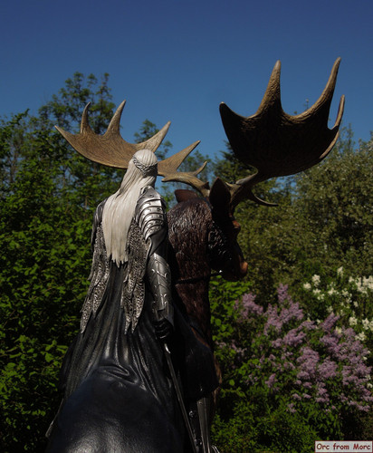 008 Thrandui on Elk.jpg