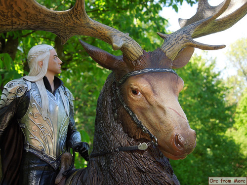 003 Thrandui on Elk.jpg