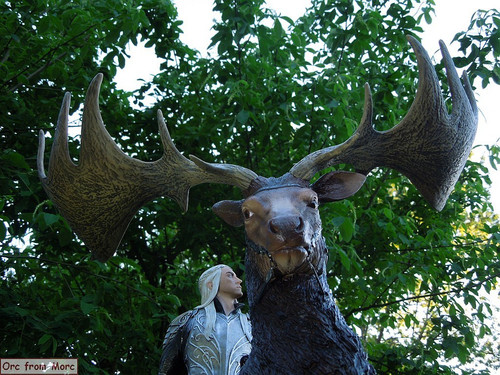 016 Thrandui on Elk.jpg