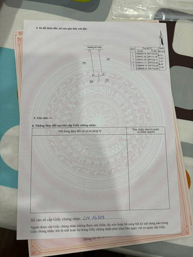 554128240 818123014006395 4657606296799991952 n.jpg