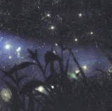 fireflies pond.gif