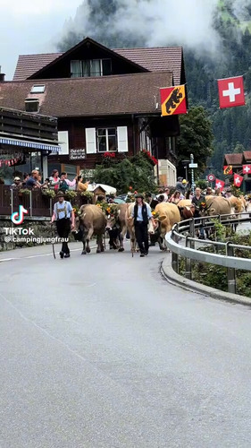 JTEs0P5OsI1ck Y7.jpg