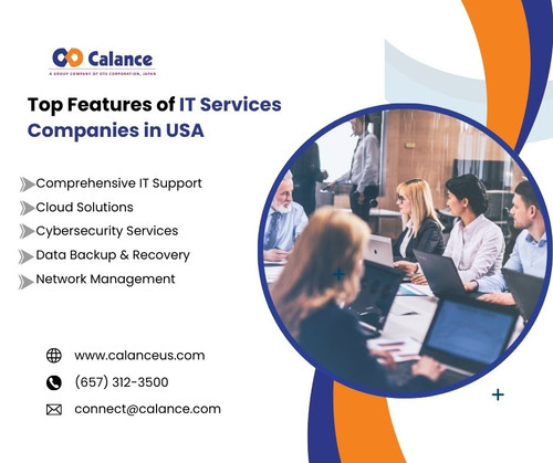 Top Features of IT Services Companies in USA.jpg