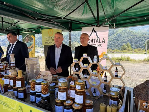 554081667 1173356031356083 7230565522367886762 n.jpg?stp=dst jpg s600x600 tt6& nc cat=105&ccb=1 7& n.jpg