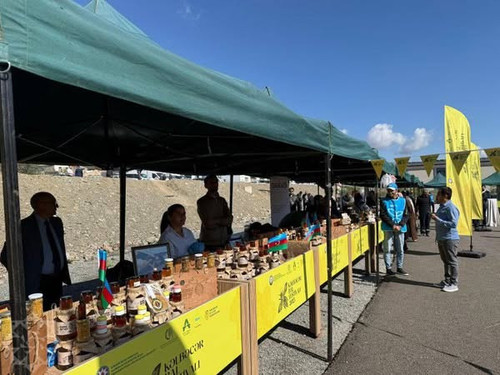 554106289 1173355964689423 876119574770867167 n.jpg?stp=dst jpg s600x600 tt6& nc cat=101&ccb=1 7& nc.jpg