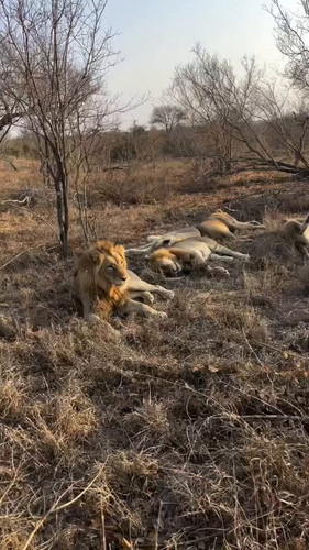 EQMtbhOT0kxy PBY.jpg