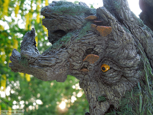 004 Treebeard Bust.jpg
