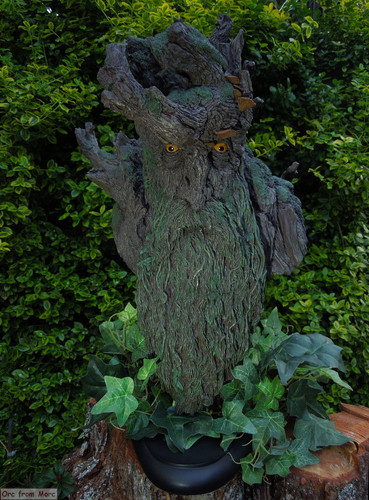 001 Treebeard Bust.jpg