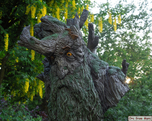 003 Treebeard Bust.jpg