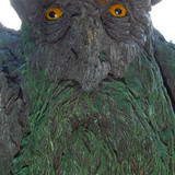 007a Treebeard Bust