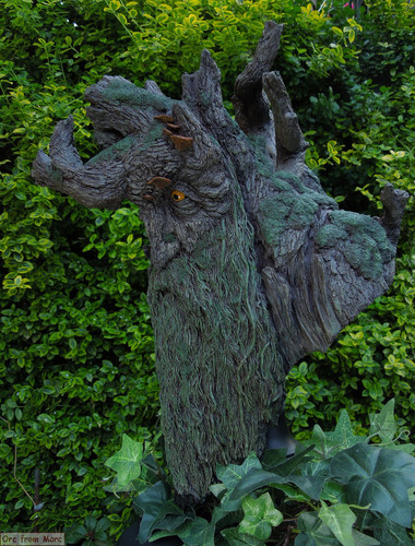 002 Treebeard Bust.jpg