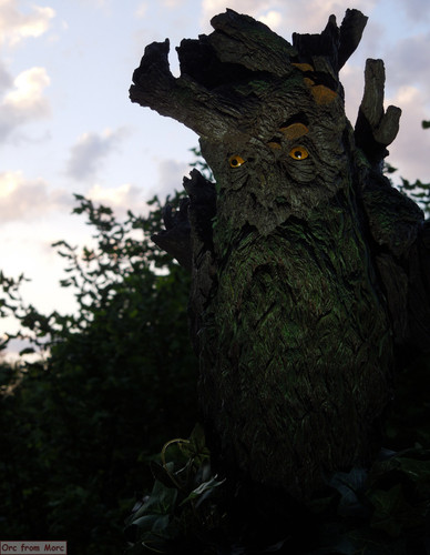 013 Treebeard Bust.jpg