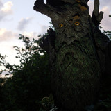013 Treebeard Bust