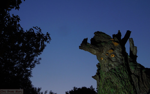 017 Treebeard Bust.jpg