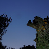 017 Treebeard Bust