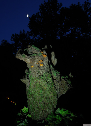 018 Treebeard Bust.jpg
