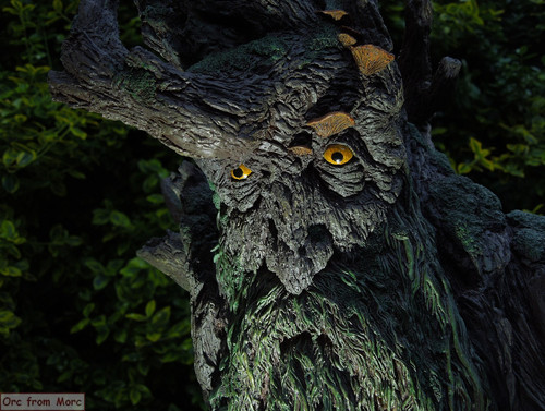 011 Treebeard Bust.jpg