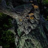 011 Treebeard Bust
