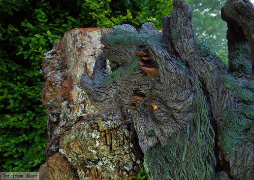 009 Treebeard Bust.jpg