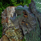 009 Treebeard Bust