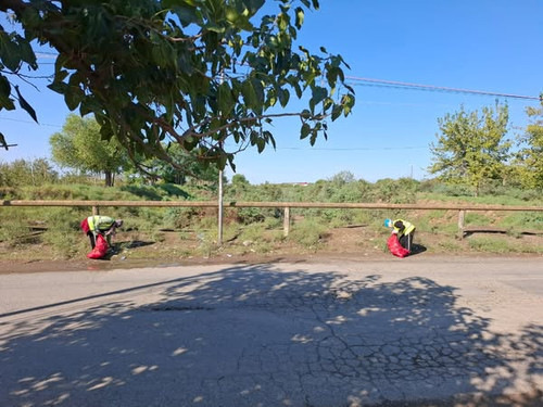 554388270 1215718080585563 3144020490072391243 n.jpg?stp=dst jpg s600x600 tt6& nc cat=103&ccb=1 7& n.jpg