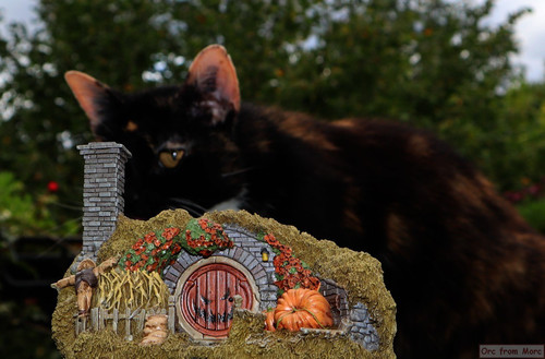 013 16 Hill Lane Halloween Edition.jpg
