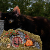 013 16 Hill Lane Halloween Edition