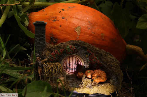 011 16 Hill Lane Halloween Edition.jpg