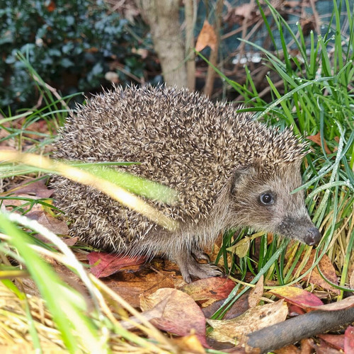 7N wrsh70l2kXvSK.jpg