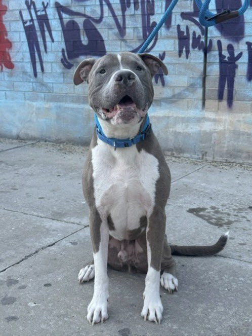 Gx8S3yiX0AEzi T?format=jpg.jpg