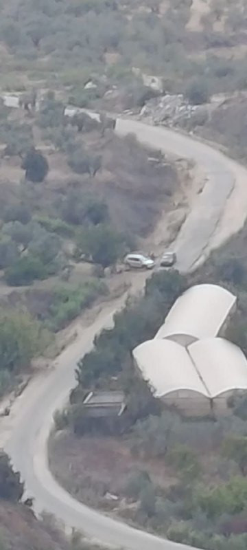 مجموعات المستوطنين تقتحم قرية الناقورة شمال غرب نابلس وتعتدي على المزارعين....